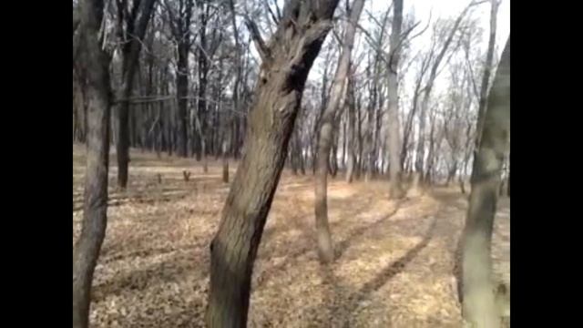 “Весна! Весна!“ Е Баратынский смотреть онлайн