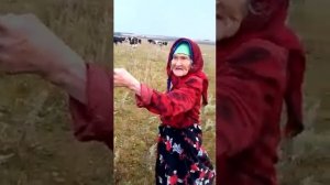 Рафаэль хатыны котудэ тулысынча видео