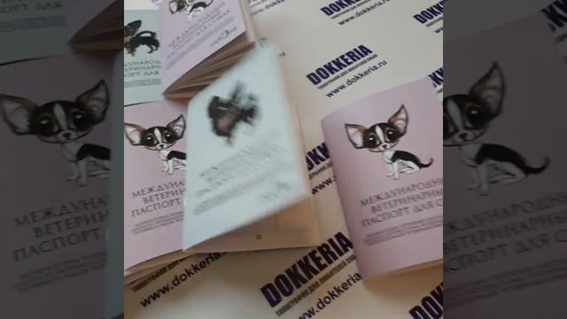 Чихуахуа (ветпаспорта с эффектом софт тач) смотреть онлайн