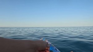 Отдых с палаткой на южном берегу Крыма. Лучшая рыбалка на сапборде в Кастрополе 2023