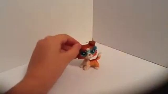 Дикая Природа в Городе и Селе