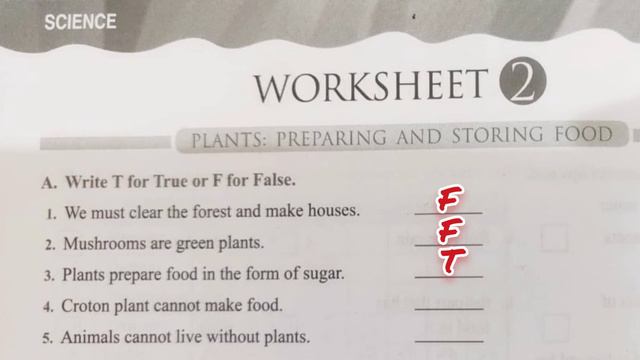 CLASS 4 SCIENCE L-1 PLANTS PREPARING AND STORING FOOD WORKSHEETS SOLVED смотреть онлайн