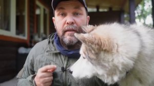 Экстремальная палатка Normal Камчатка "Хоть на Северный, хоть на Южный". Блиц-обзор