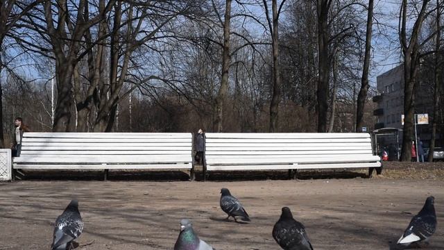 ЖАДНАЯ ПТИЦА МИРА Футаж смотреть онлайн