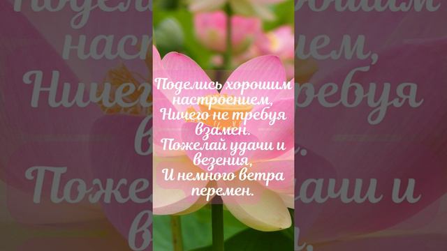 Доброе утро. смотреть онлайн