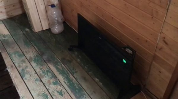 МИНИ ДОМ // БЮДЖЕТНЫЙ ДОМ ДЛЯ КРУГЛОГОДИЧНОГО ПРОЖИВАНИЯ.