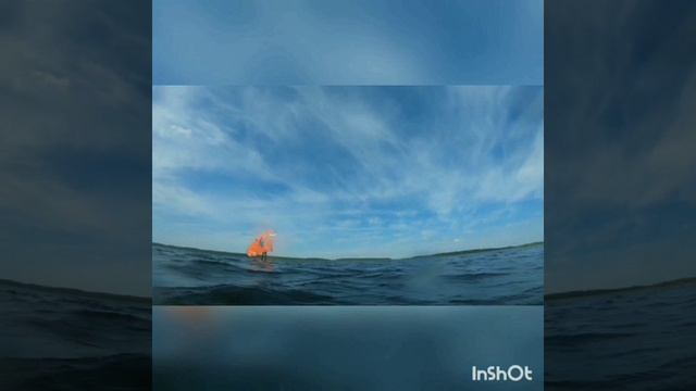 рязань Efoil 2