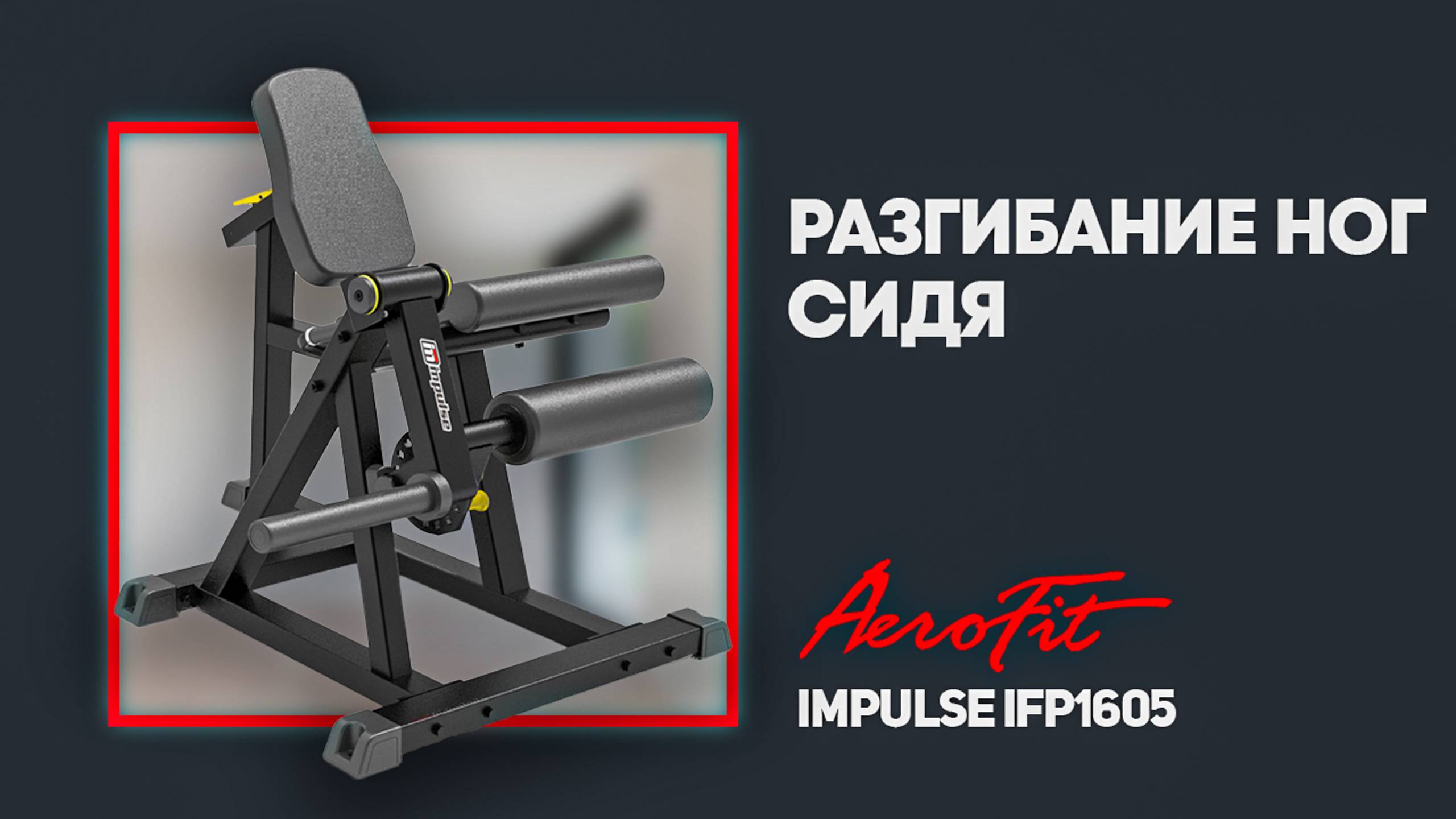 Тренировка ног на базе AEROFIT с PRO атлетом- Антоном Герасимовым Impulse IFP1605 смотреть онлайн