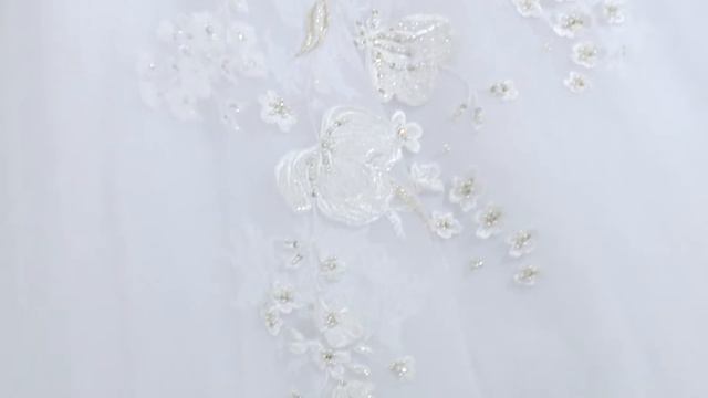 Phlox by Appolo Fashion, The Ultimate Collection 2017, смотреть онлайн