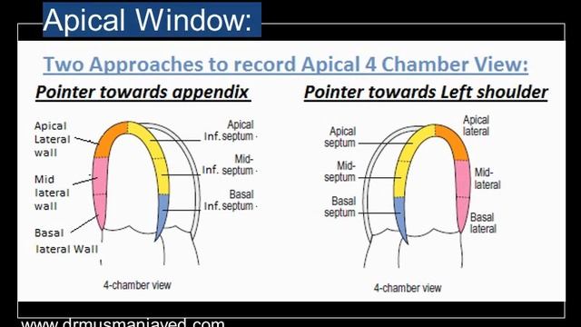 Echocardiography Standard Protocol | Step by Step | Complete Trans-thoracic Normal Echocardiogram смотреть онлайн