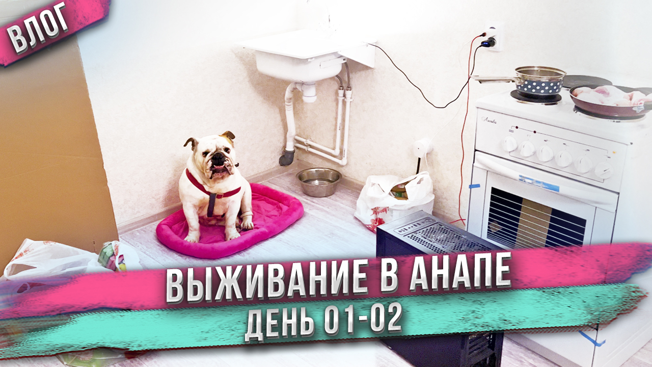 Муж, жена, младенец и 9 собак в пустой квартире в Анапе! День 01-02. смотреть онлайн