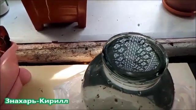 КАК ПРИГОТОВИТЬ ЖИВУЮ СТРУКТУРИРОВАННУЮ ВОДУ С рН=7,4 ОТ ВСЕХ БОЛЕЗНЕЙ?!?♂️ смотреть онлайн