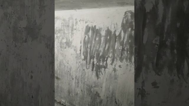 Шлифовка бетонных стен. Ремонт вторички. Киев смотреть онлайн