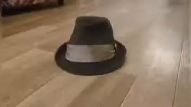 Н. Носов "Живая шляпа" смотреть онлайн