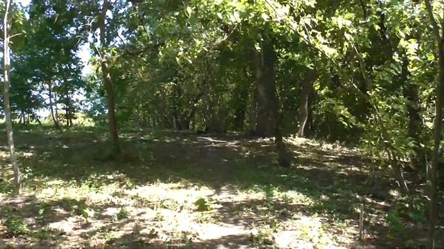 дом в краснодарском крае с.новопокровское. смотреть онлайн