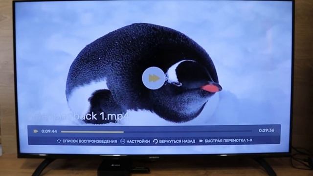 Телевизор SKYWORTH 39E30 ОБЗОР