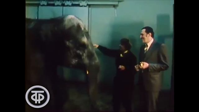 10 Наших Телепередач Долгожителей смотреть онлайн