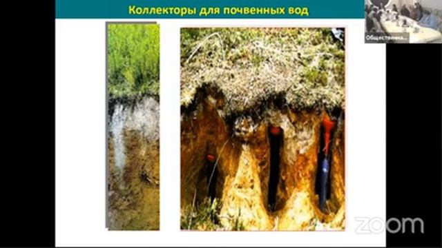 Заседание Общественного совета при Федеральном агентстве лесного хозяйства смотреть онлайн