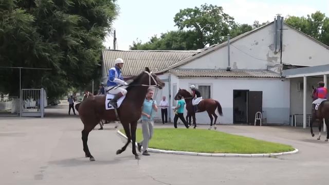 Трансляция 1.07.2023 смотреть онлайн