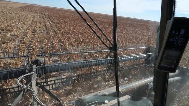 Last Day Of Kansas Milo Harvest Goes Out With A Bang смотреть онлайн