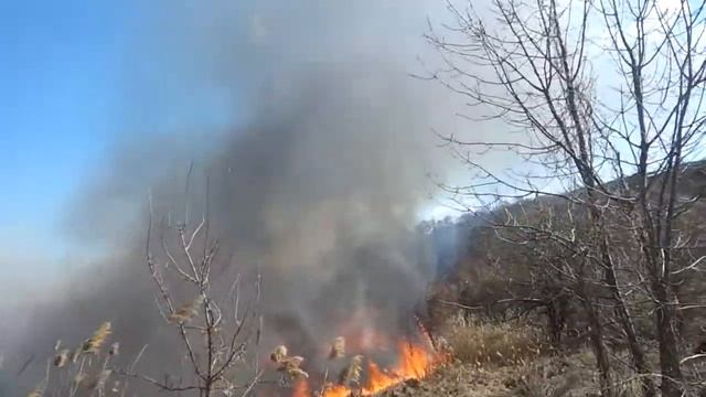 Спички детям не игрушки !!! смотреть онлайн