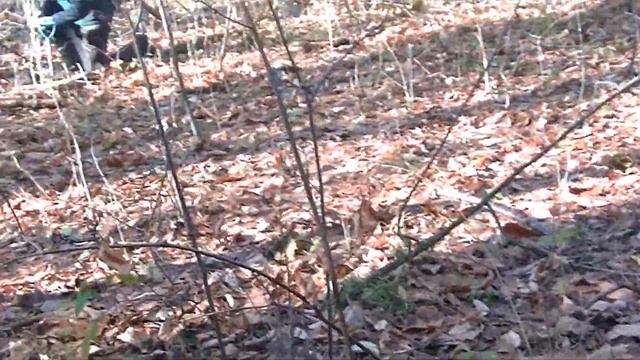 Metal Detecting BONANZA! LOADS OF OLD SILVER & COPPER COINS | Minelab Equinox 600 800 Minelab Etrac смотреть онлайн