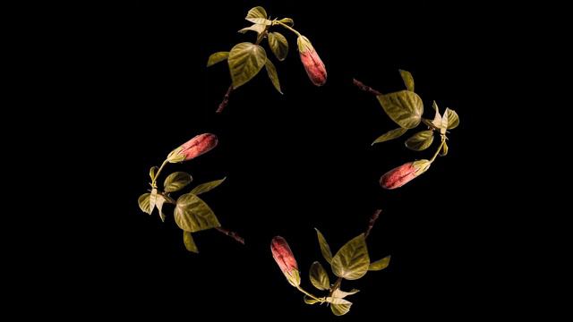 выпуск 1 (для планшета) смотреть онлайн