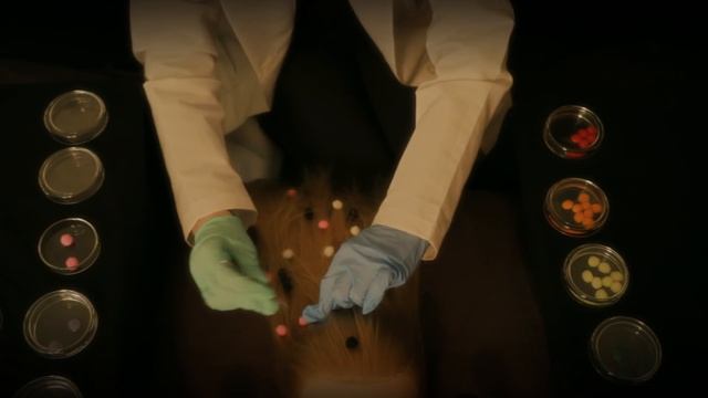 ASMR Pompom Lice Removal смотреть онлайн