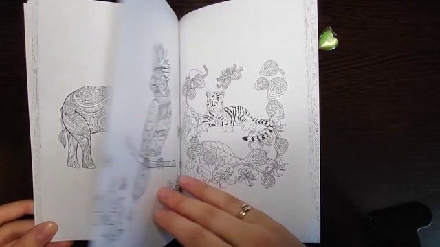 Обзор раскраски "Тропический мир и его обитатели". Лиана Мэй. АСТ, серия "Магическая арт-терапия". смотреть онлайн