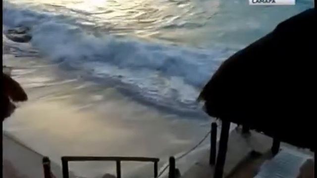 Большинство пока ожидает чартеров в Турцию смотреть онлайн