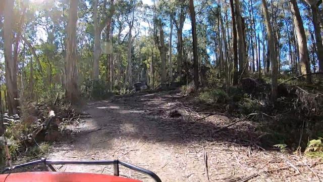 Suzuki Grand Vitara in Big River State Forest / Mount Matlock 30/05/20 (Part 2/5) смотреть онлайн