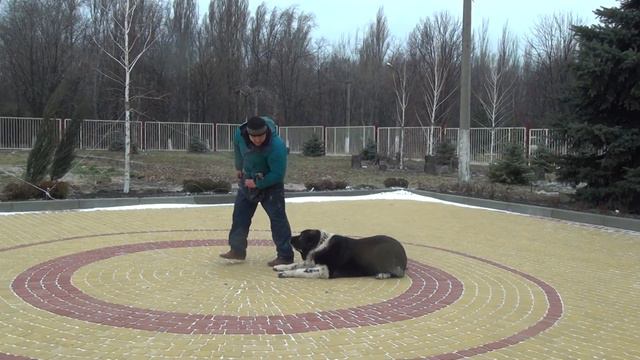 САО Басмач смотреть онлайн