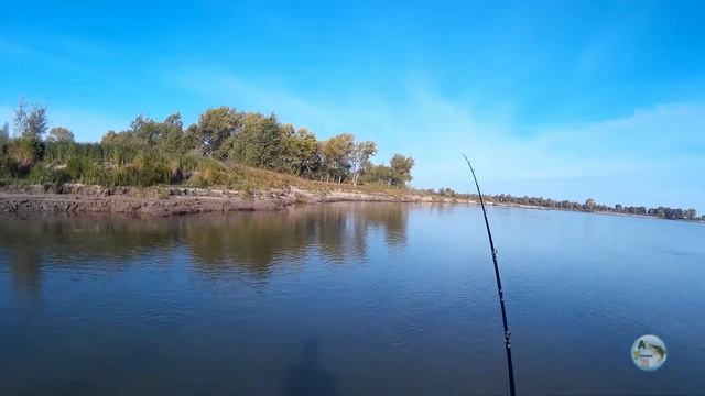 Столько сходов крупной щуки может привести к расстройству нервной системы! смотреть онлайн