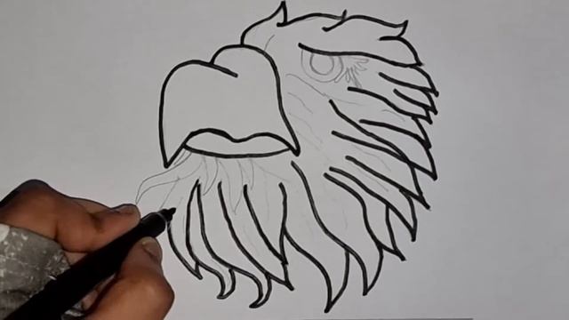 How to draw eagle in simple steps | Burgutni qanday chizish mumkin | Как нарисовать орла|DFK Jes AR смотреть онлайн