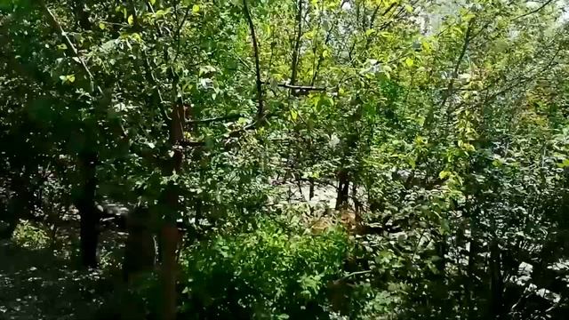 Иркутский зоосад