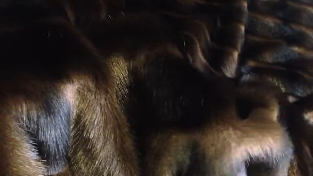 Эко мех норки коричневая поперечка смотреть онлайн