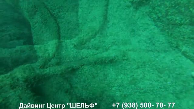 Дайвинг в  Геленджике