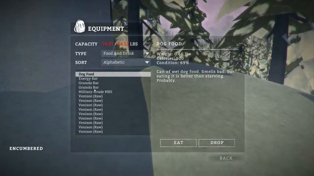 HUNTING RIFLE - The Long Dark, Episode 5 смотреть онлайн