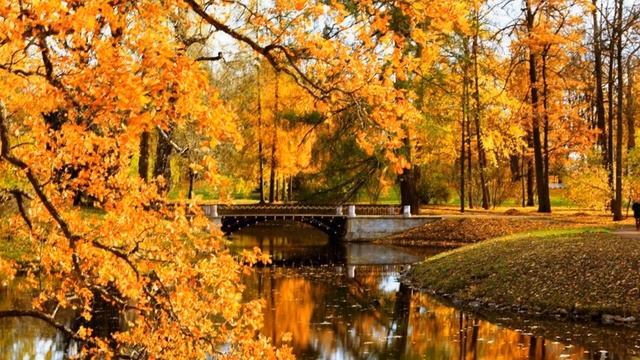 ПОДАРОК ОСЕНИ смотреть онлайн