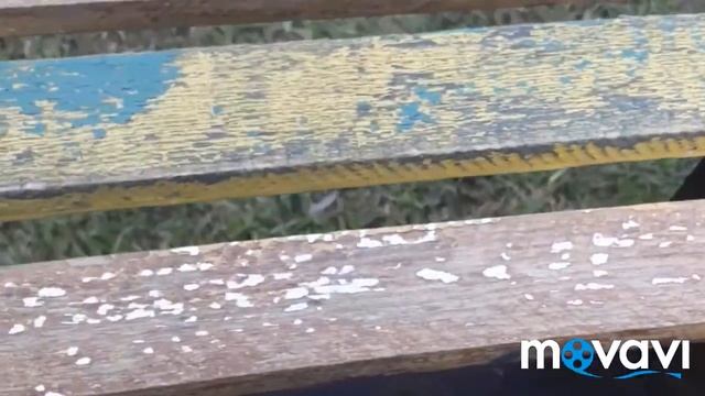 красим лавочку на даче смотреть онлайн