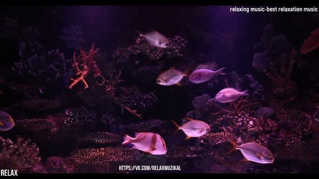 Музыка для релакса MP3 смотреть онлайн