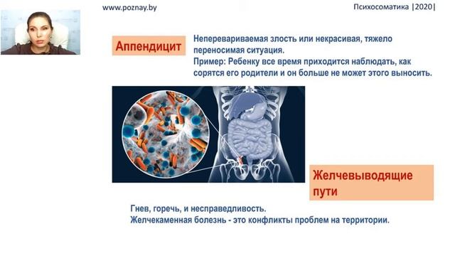 Пятая встреча 1 часть Желудочно-кишечный тракт.webm смотреть онлайн