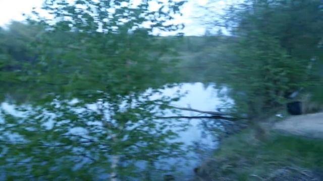Дмитров Борисовский Пруд . смотреть онлайн