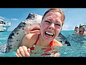 ЭТО Нужно Видеть! Топ 30 Моментов Дружбы Людей и Диких Животных