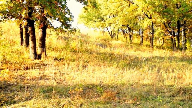 Прекрасный город И его окресности И где -то слышен умопомрочительный смех смотреть онлайн
