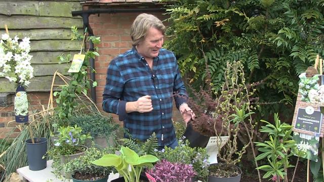 Practical Plants And How To Choose Them