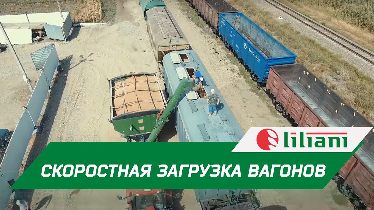 Скоростная загрузка вагонов зерном в АО АГРОКОМПЛЕКС. Ростовская область смотреть онлайн