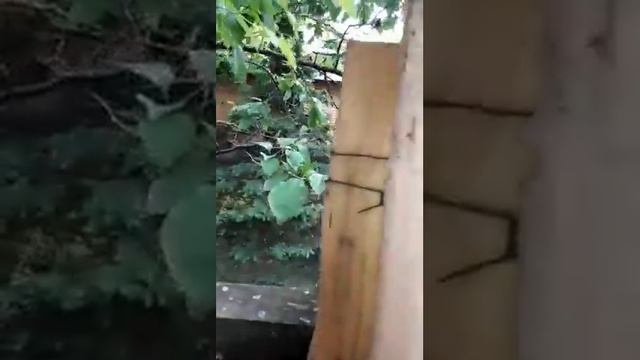 Жесть дача заминирована смотреть онлайн