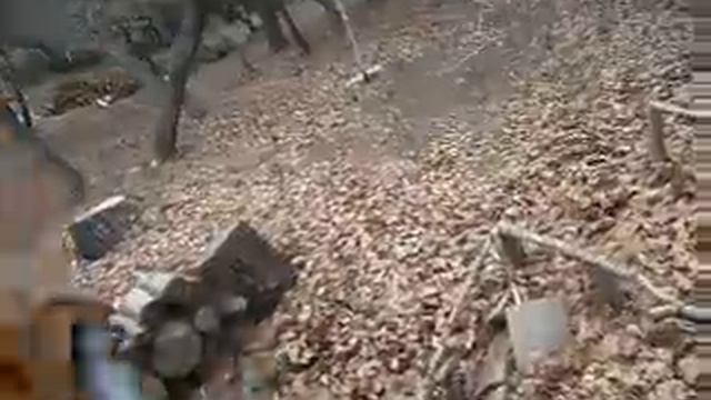 Gros bourinage en airsoft смотреть онлайн