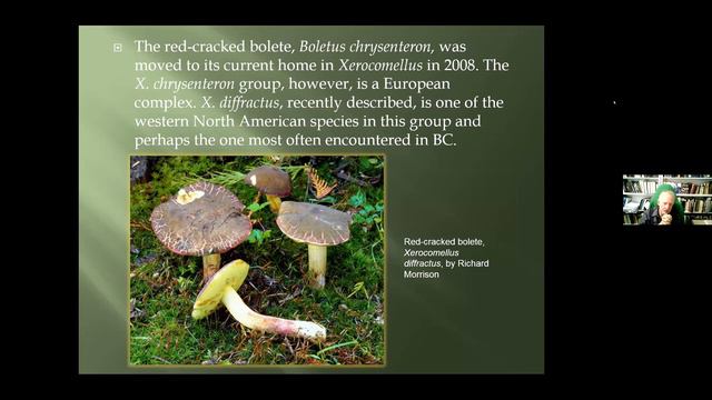 The Mushrooms of British Columbia смотреть онлайн